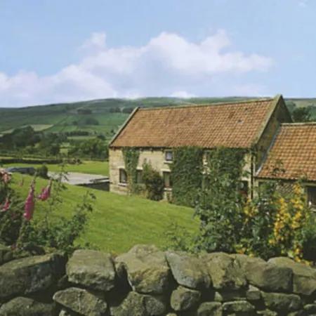 Rosedale - W43154 *