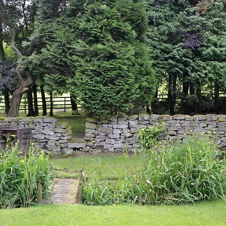Rosedale - W43154
